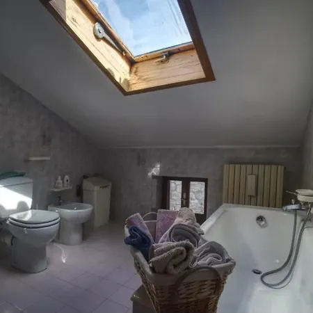 Lucus House 게스트하우스